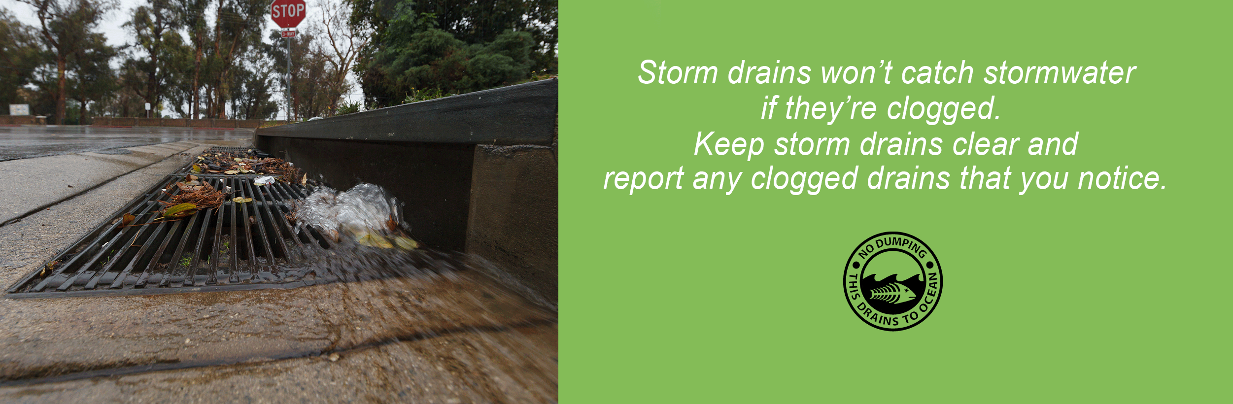 Stormwater 1